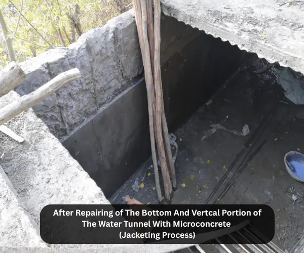 remove loose material with electrical cheaper (5)